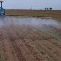 سمپاشی مزارع چغندر و ذرت با سمپاش ۶۰۰ لیتری