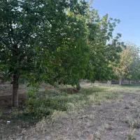 ۱۰۰۰متر زمین در جاده تفرش