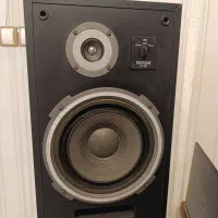 باند دیاتون