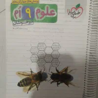 کتاب کمک درسی پایه نهم