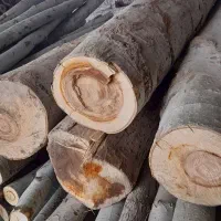 خریدچوب باغات