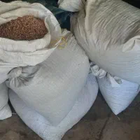 لوبیا چیتی|خوردنی و آشامیدنی|عجب شیر, |دیوار