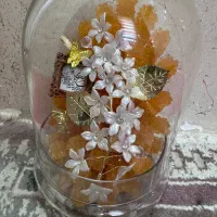 شاخه نبات