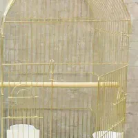 عروس هلندی