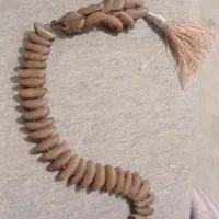 هسته خرما کلکسیونی