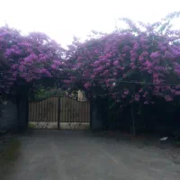ویلای ساحلی دوخوابه ( دربست )