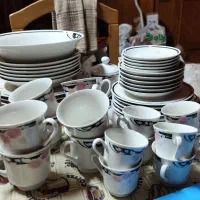 سرویس چینی  ۶ نفره کارکرده