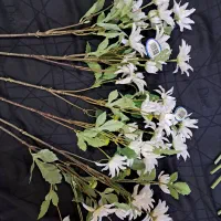 گل خارجی|گل مصنوعی|قدس, شهرقدس|دیوار