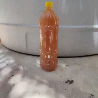 آبغوره طبیعی دشمن زیاری