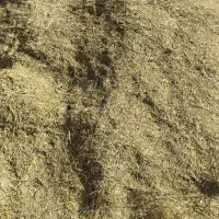 یونجه وسوزه