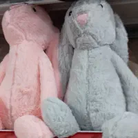 ولنتاین|حراج|نورآباد, |دیوار