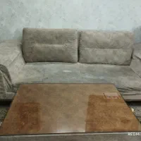 سالم هستند
