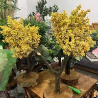 درختچه های جذاب و زیبا  با تنه طبیعی|صنایع دستی و سایر لوازم تزئینی|بهشهر, |دیوار