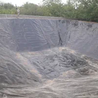 زمین زراعی|فروش دفتر صنعتی، کشاورزی، تجاری|انزل, |دیوار