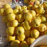 سرخ سیب|خوردنی و آشامیدنی|امام, |دیوار