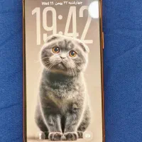 آیفون ۱۷pro max|موبایل|آمل, |دیوار