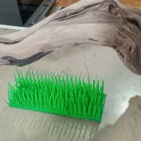 چوب خوشگل برای ماهی