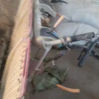 دستگاه برنج