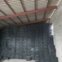 سبدفروشی جعفری سبد 20کیلویی 14 کیلویی وغیره...|عمدهفروشی|واجارگاه, |دیوار