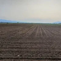 زمین-زراعی-روستای-ملاحسنی