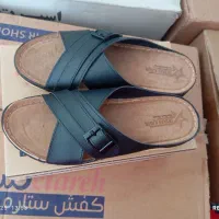 دمپای طبی تک به نرخ عمده