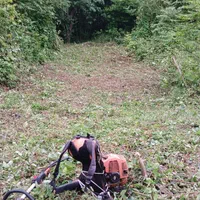 علف زنی با دستگاه چمن زن