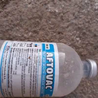 گاو و گوساله ماده سیمینتال|حیوانات مزرعه|بیلوار, |دیوار