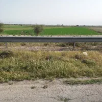 فروش 1.5هکتار زمین آبی کارخانه سیمان ابتدای سدشهدا|فروش دفتر صنعتی، کشاورزی، تجاری|بهبهان, |دیوار