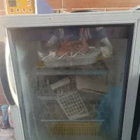 دستگاه جوجه کشی بلدرچین دماوند