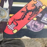 اسکیت برد حرفه ای|دوچرخه، اسکیت، اسکوتر|تربتحیدریه, بوستان باغ ملی|دیوار