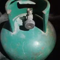 پیکنیک درحد نو
