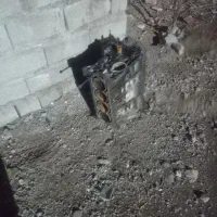 سرسیلندر وبلوک پرشیا