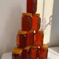 عسل طبیعی کوهستان|خوردنی و آشامیدنی|تهران, جلیلی|دیوار