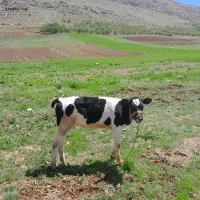 ۲۲۲۲۲۲۲۲۲۲۲