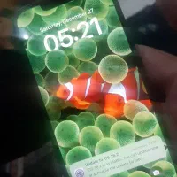 ایفون۱۳نرمال ch