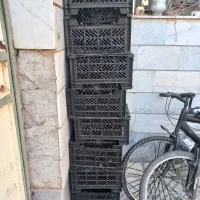 سبد میوه دونه ای ۴۸۰۰