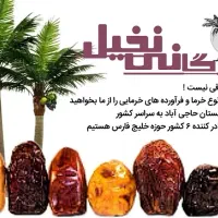 خرما عجوه وارداتی NAKHIL DATES COMPANY