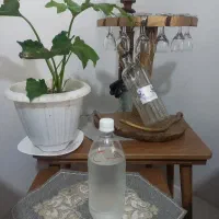 عرق نعناع