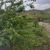 خانه باغ  اجاره ای شهرستان بدره روستا جابر|اجارهٔ کوتاه‌مدت ویلا و باغ|ایلام, |دیوار