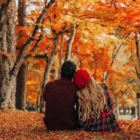 فرمالیته پاییزی