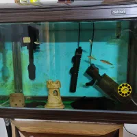 آکواریوم آب شیرین و شور ماهیران