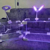 خاک پلنت و غذا ماهی|ماهی|زابل, |دیوار