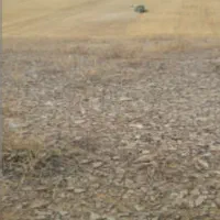 یک قطعه زمین با کاربری مسکونی