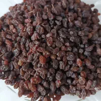 کشمش تازه و تمیز