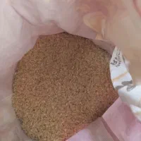 5 کیلو برنج محلی بومی لنجان درجه یک فروش فوری