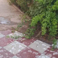 اجاره باغ استخردار شروع قیمت از یک میلیون تومان