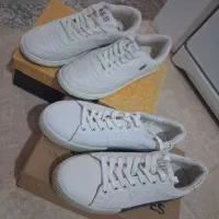 کتانی|کیف، کفش، کمربند|ساوه, |دیوار