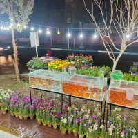 فروشنده خانم و آقا بابت فروش گل و ماهی شب عید