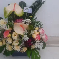 باکس گل طبیعی|گل و گیاه طبیعی|مشهد, خواجه ربیع|دیوار