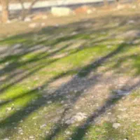 زمین کشاورزی آبی چراغ برخوردار